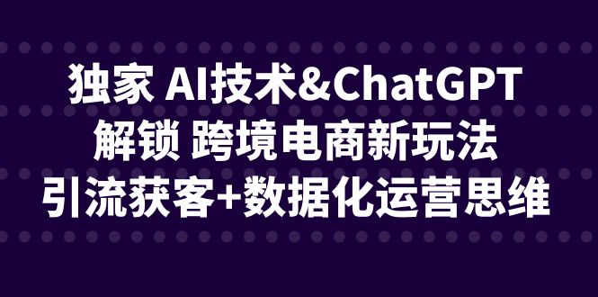 独家 AI技术&ChatGPT解锁 跨境电商新玩法，引流获客+数据化运营思维-启航资源站