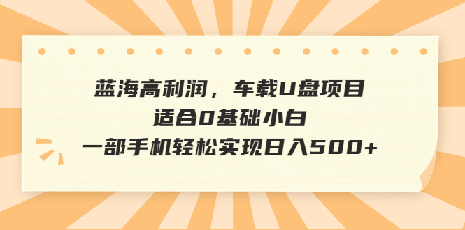 蓝海高利润，车载U盘项目，适合0基础小白，一部手机轻松实现日入500+-启航资源站