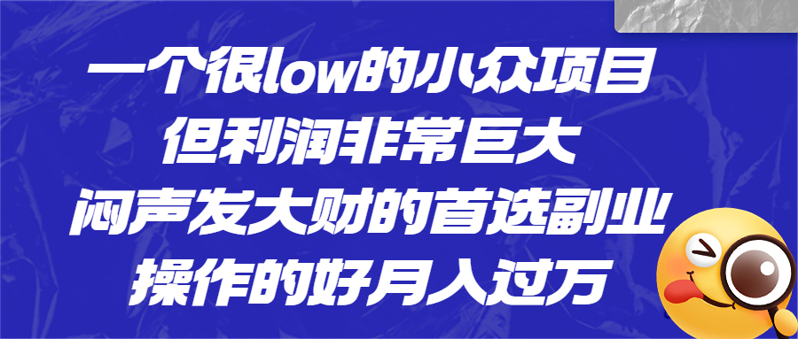 一个很low的小众项目，但利润非常巨大，闷声发大财的首选副业，月入过万-启航资源站