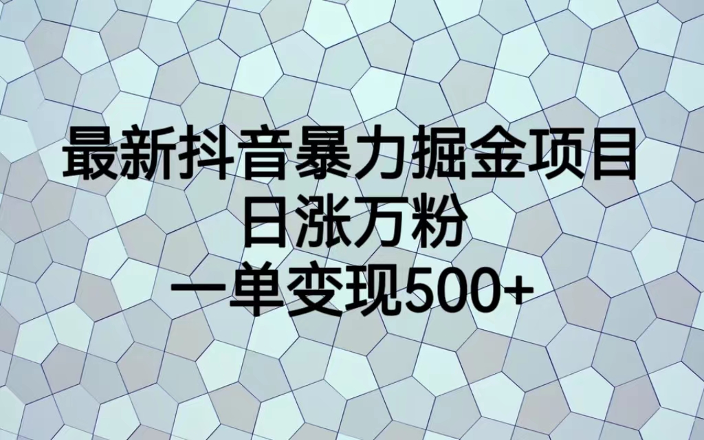 最新抖音暴力掘金项目，日涨万粉，一单变现500+-启航资源站