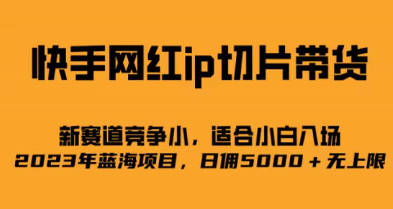 快手网红ip切片新赛道，竞争小事，适合小白 2023蓝海项目-启航资源站