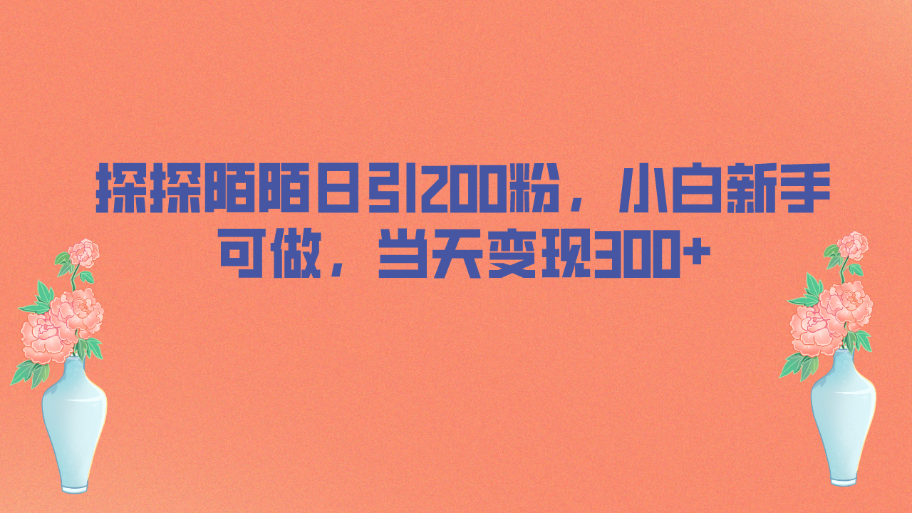 探探陌陌日引200粉，小白新手可做，当天就能变现300+-启航资源站