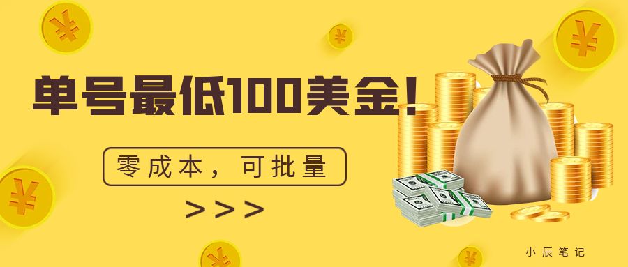 单号最低100美金，零成本，小白无脑操作。可复制，可扩大。-启航资源站