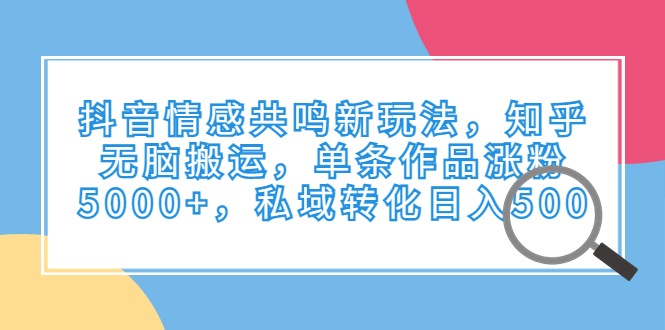 抖音情感共鸣新玩法，知乎无脑搬运，单条作品涨粉5000+，私域转化日入500-启航资源站