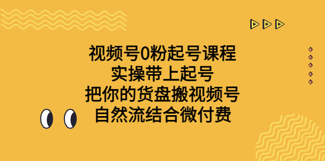 视频号0粉起号课程 实操带上起号 把你的货盘搬视频号 自然流结合微付费-启航资源站