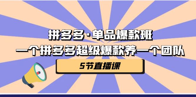 拼多多·单品爆款班，一个拼多多超级爆款养一个团队（5节直播课）-启航资源站