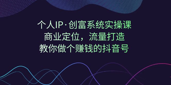 个人IP·创富系统实操课：商业定位，流量打造，教你做个赚钱的抖音号-启航资源站