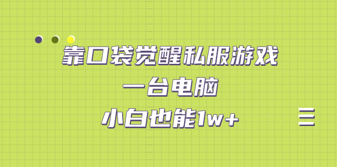 靠口袋觉醒私服游戏，一台电脑，小白也能1w+（教程+工具+资料）-启航资源站