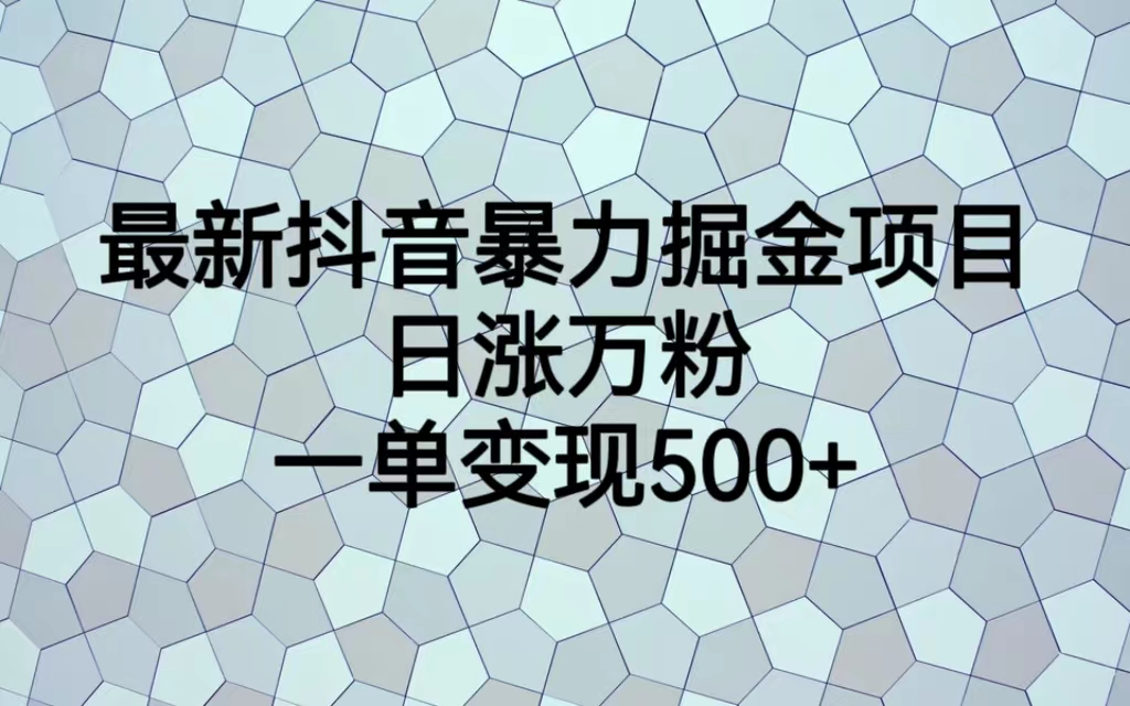 最火热的抖音暴力掘金项目，日涨万粉，多种变现方式，一单变现可达500+-启航资源站