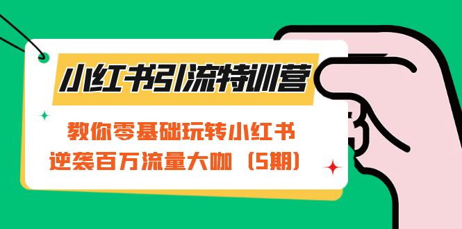 小红书引流特训营-第5期：教你零基础玩转小红书，逆袭百万流量大咖-启航资源站