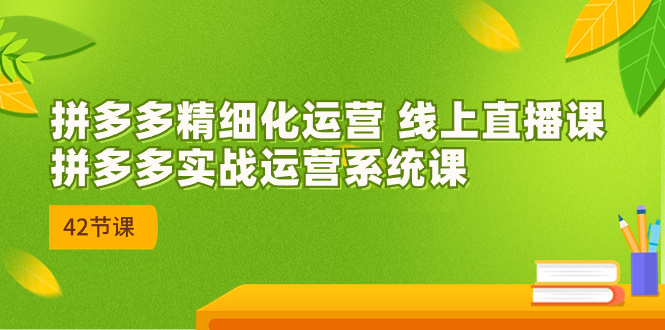 2023年8月新课-拼多多精细化运营 线上直播课：拼多多实战运营系统课-42节-启航资源站