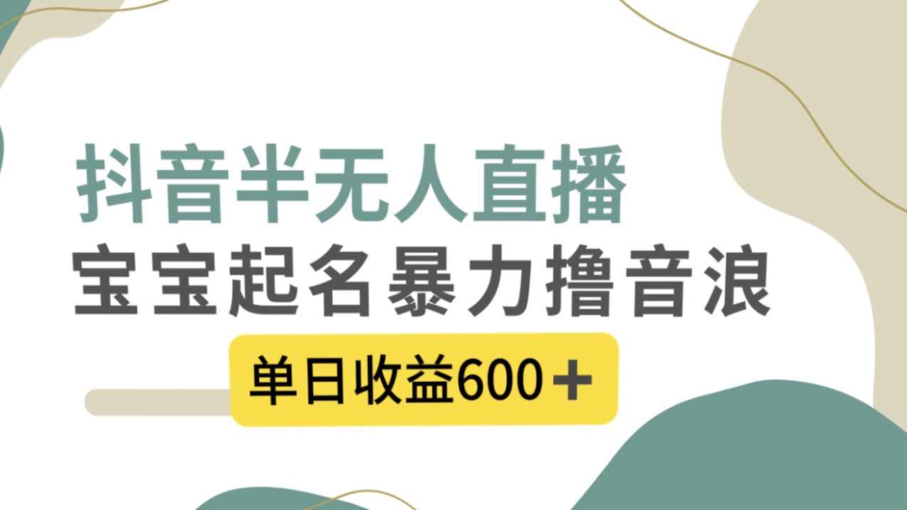 抖音半无人直播，宝宝起名，暴力撸音浪，单日收益600+-启航资源站