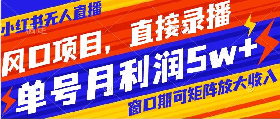 风口项目，小红书无人直播带货，直接录播，可矩阵，月入5w+-启航资源站