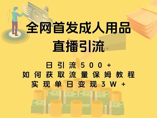 最新全网独创首发，成人用品直播引流获客暴力玩法，单日变现3w保姆级教程-启航资源站