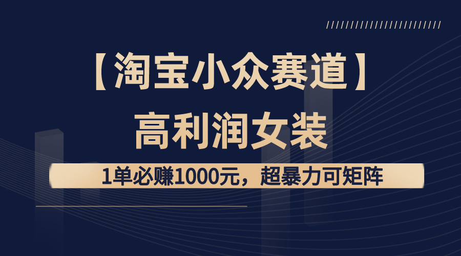 【淘宝小众赛道】高利润女装：1单必赚1000元，超暴力可矩阵-启航资源站