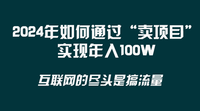 2024年如何通过“卖项目”实现年入100W-启航资源站