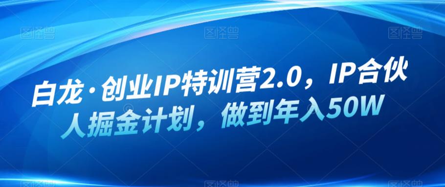 白龙·创业IP特训营2.0，IP合伙人掘金计划，做到年入50W-启航资源站