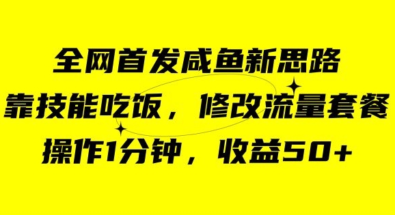 咸鱼冷门新玩法，靠“技能吃饭”，修改流量套餐，操作1分钟，收益50【揭秘】-启航资源站