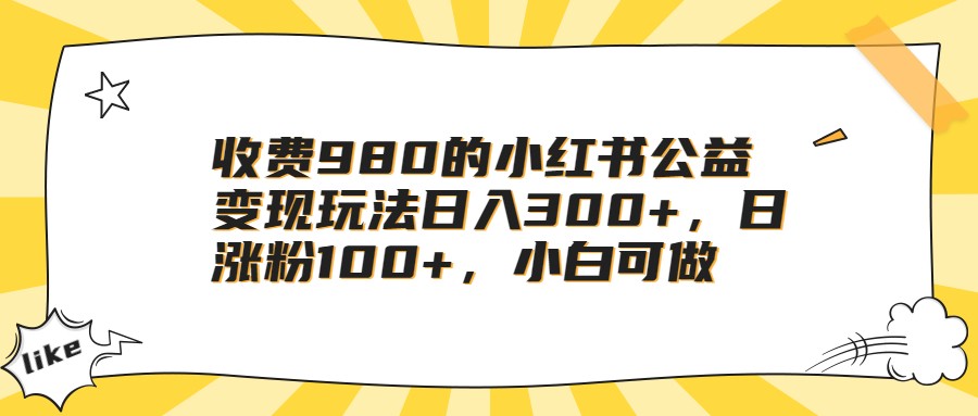 收费980的小红书公益变现玩法日入300+，日涨粉100+，小白可做-启航资源站