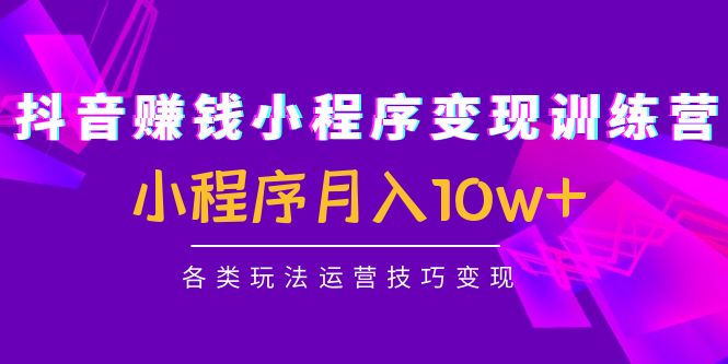 （4511期）抖音赚钱小程序变现训练营：小程序月入10w+各类玩法运营技巧变现-启航资源站