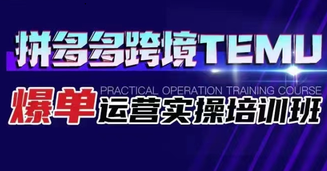 拼多多跨境TEMU爆单运营实操培训班 海外拼多多的选品、运营、爆单-启航资源站