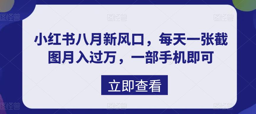 （6851期）八月新风口，小红书虚拟项目一天收入1000+，实战揭秘-启航资源站