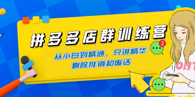 （4318期）拼多多店群训练营：从小白到精通，只讲精华，剔除推销和废话-启航资源站