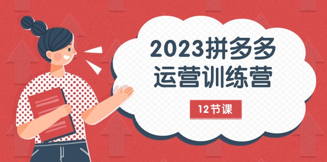 2023拼多多运营训练营：流量底层逻辑，免费+付费流量玩法（12节课）-启航资源站