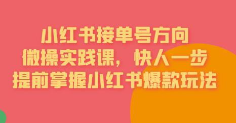 接单号方向·小红书微操实践课，快人一步，提前掌握小红书爆款玩法-启航资源站