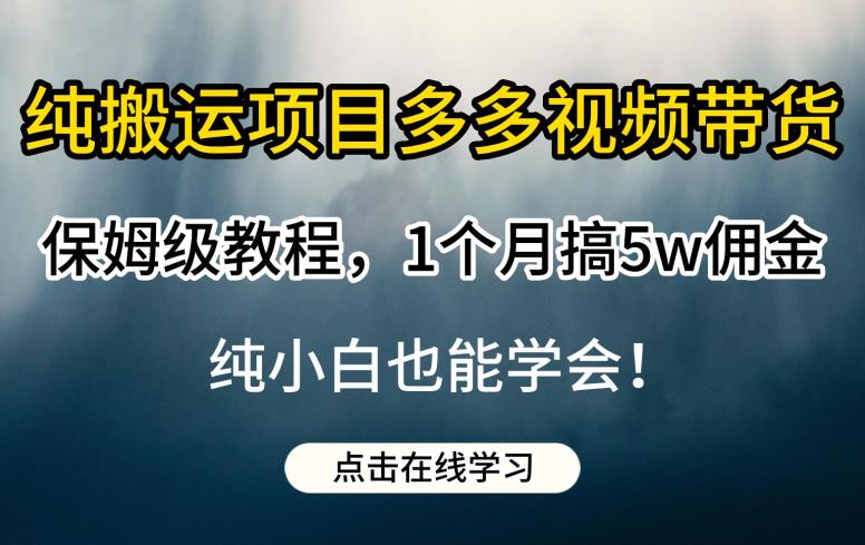 纯搬运项目多多视频带货保姆级教程，1个月搞5w佣金，纯小白也能学会【揭秘】-启航资源站