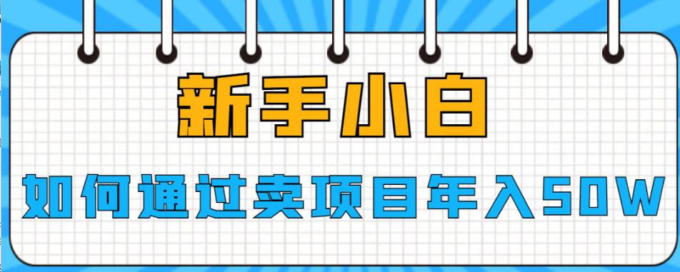 新手小白如何通过卖项目年入50W【揭秘】-启航资源站