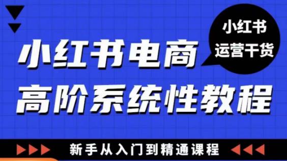 小红书电商高阶系统教程，新手从入门到精通系统课-启航资源站