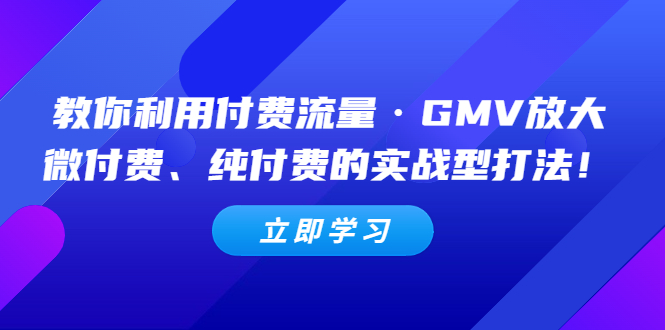 （5106期）教你利用付费流量·GMV放大，微付费、纯付费的实战型打法！-启航资源站