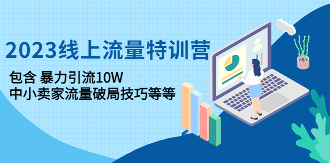 （4567期）2023线上流量特训营：包含暴力引流10W+中小卖家流量破局技巧等等-启航资源站