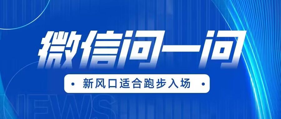 全网首发微信问一问新风口变现项目（价值1999元）-启航资源站