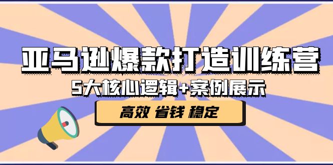 （5107期）亚马逊爆款打造训练营：5大核心逻辑+案例展示 打造爆款链接 高效 省钱 稳定-启航资源站