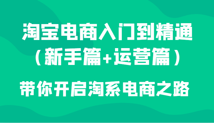 淘宝电商入门到精通（新手篇+运营篇）带你开启淘系电商之路-启航资源站