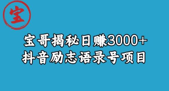 宝哥揭秘日赚3000+抖音励志语录号短视频变现项目-启航资源站