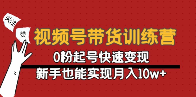 （4446期）视频号带货训练营：0粉起号快速变现，新手也能实现月入10w+-启航资源站