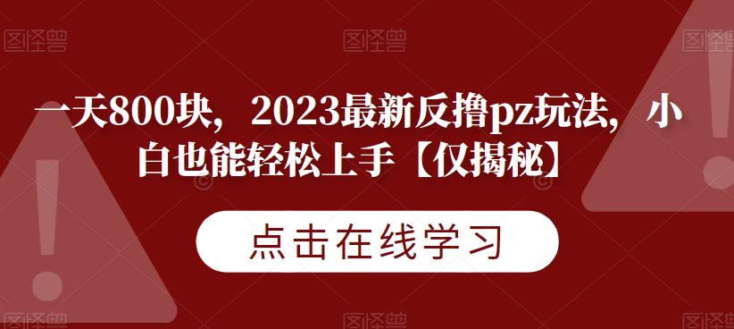 一天800块，2023最新反撸pz玩法，小白也能轻松上手【仅揭秘】-启航资源站