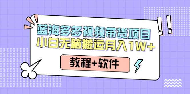 （4343期）人人都能操作的蓝海多多视频带货项目 小白无脑搬运月入10000+（教程+软件）-启航资源站