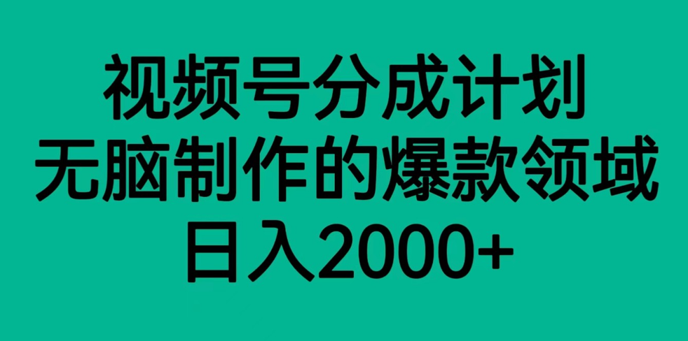 视频号分成计划，轻松无脑制作的爆款领域，日入2000+-启航资源站