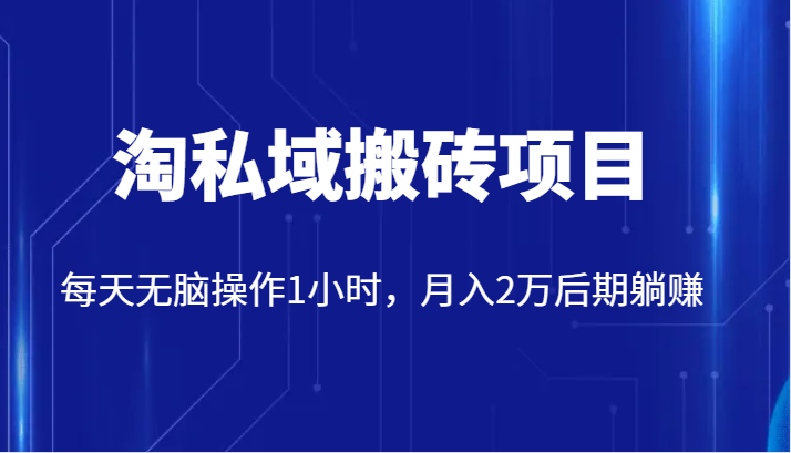 价值2980的淘私域搬砖项目，每天无脑操作1小时，月入2万后期躺赚-启航资源站