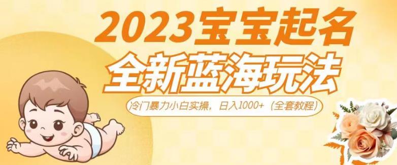 2023宝宝起名全新蓝海玩法，冷门暴力小白实操，日入1000+（全套教程）【揭秘】-启航资源站