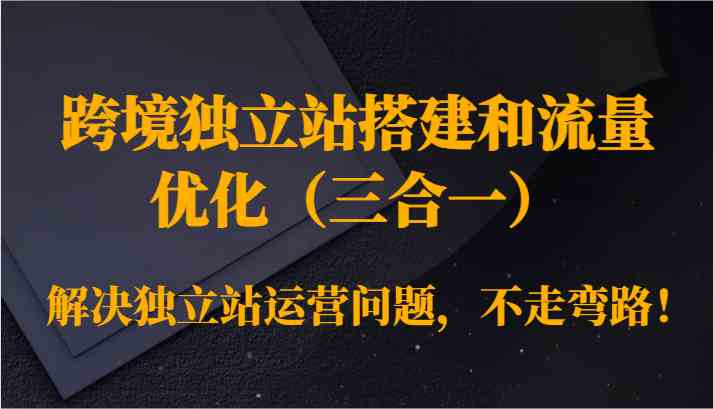 跨境独立站搭建和流量优化（三合一）解决独立站运营问题，不走弯路！-启航资源站