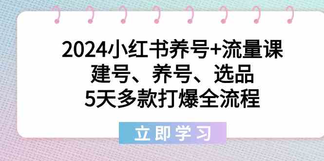 2024小红书养号+流量课：建号、养号、选品，5天多款打爆全流程-启航资源站