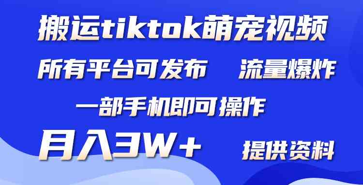 （9618期）搬运Tiktok萌宠类视频，一部手机即可。所有短视频平台均可操作，月入3W+-启航资源站