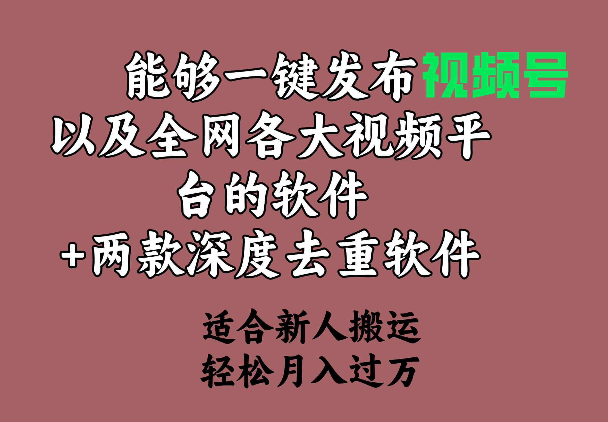 （9319期）能够一键发布视频号以及全网各大视频平台的软件+两款深度去重软件 适合…-启航资源站