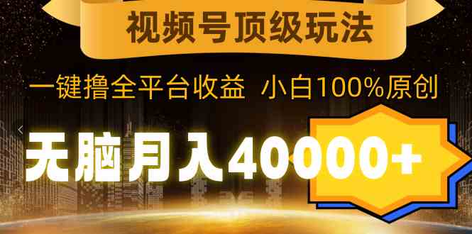 （9281期）视频号顶级玩法，无脑月入40000+，一键撸全平台收益，纯小白也能100%原创-启航资源站