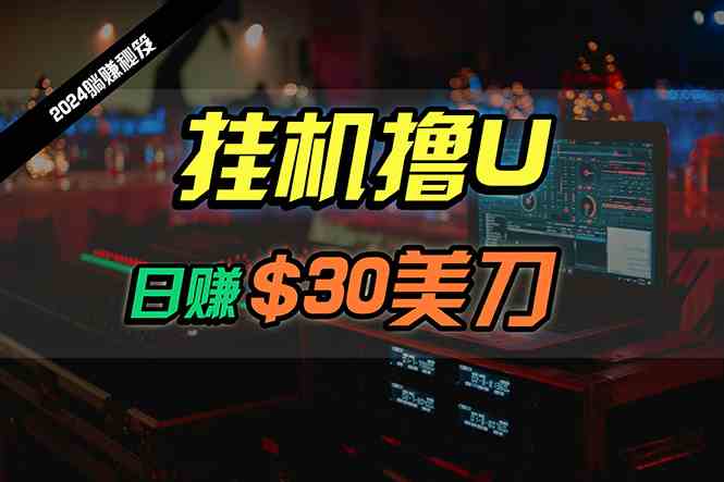 （10013期）日赚30美刀，2024最新海外挂机撸U内部项目，全程无人值守，可批量放大-启航资源站